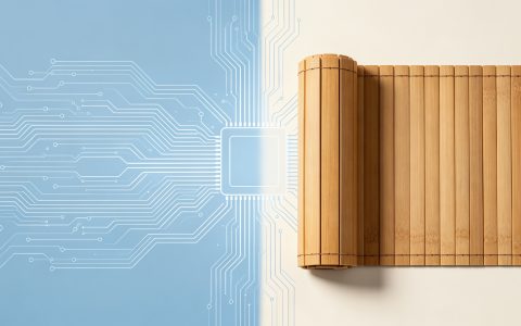 在年龄不大的时候明白自己适合做的事情V1.0