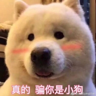 Jordan的头像