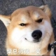 一本正经の汪man的头像