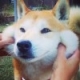 Norman.W的头像