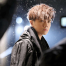 佛山张敬轩的头像