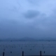 Bonheur的头像