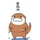 杨晋的头像