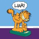 GARFIELD L的头像