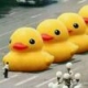 .的头像