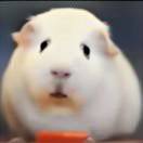 Noah的头像