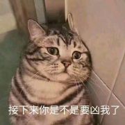 潦倒滚刀肉的头像