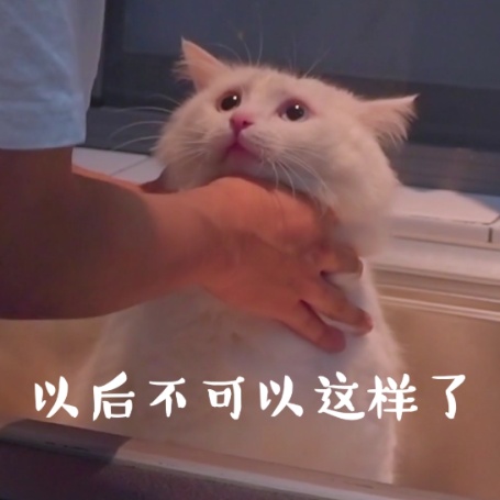 一只桃子的头像