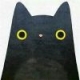 猫与白日梦的头像
