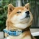 我嘞个擦的头像