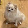 Leon_Wong的头像