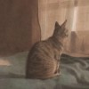 Hombre solitario的头像