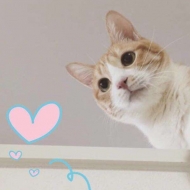 TheEyeOfHorus的头像