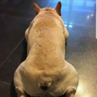省吾的头像